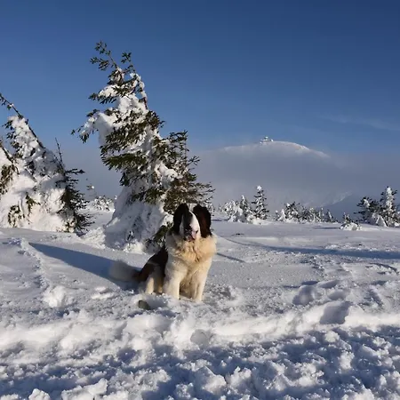 Appartement Karkonoska 12 *