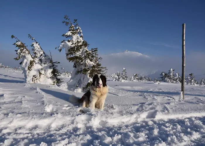 Appartement Karkonoska 12 *